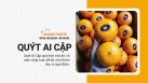 quyt-ai-cap-p-h