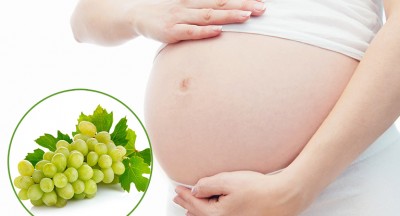 Nho xanh có tốt cho bà bầu không