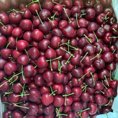 Cherry đỏ